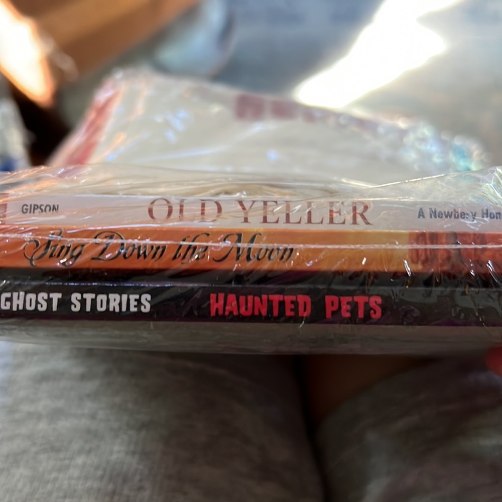 NWT Scholastic’s (5) Books with Tote bag Grade 4/5